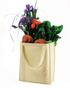 Nonwoven Grocery Tote